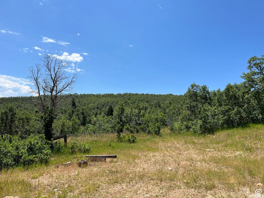 Beautiful lot located up Hobble Creek Canyon. 2 flat buildable areas on this nice piece of property, with an upper & lower road for accessibility. (1 building permit to 3 acres , livestock including horses must be corralled at least 500 ft away from neighboring homes) Seasonal creek & area for RV parking. Minutes to Hobble Creek golf course, hiking, biking, side by side trails, horseback riding, fishing, snowmobiling, etc... Serene mountain vies with all kinds of wildlife to call your neighbors. This land borders BLM & Nebo District land for added wooded privacy! Only 20 minutes from town. Gated community.