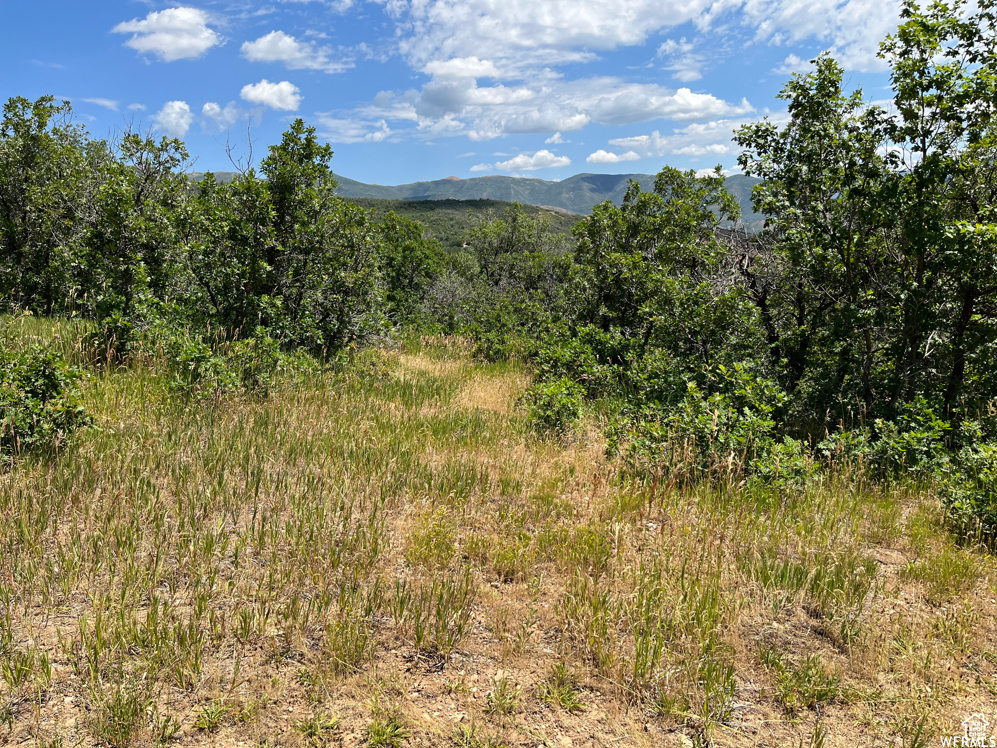 PLAT A UPPER WHITTER - Land