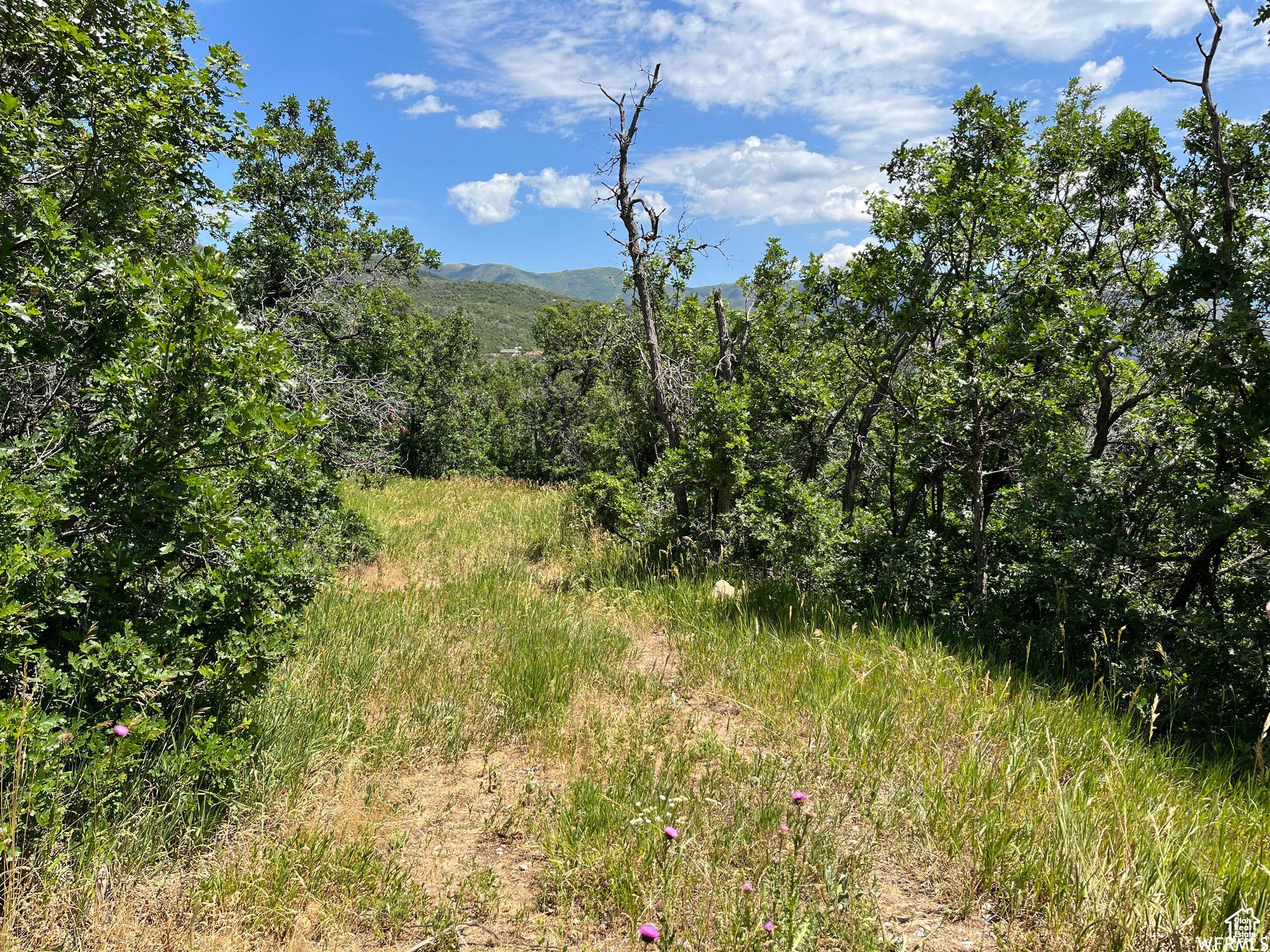 PLAT A UPPER WHITTER - Land
