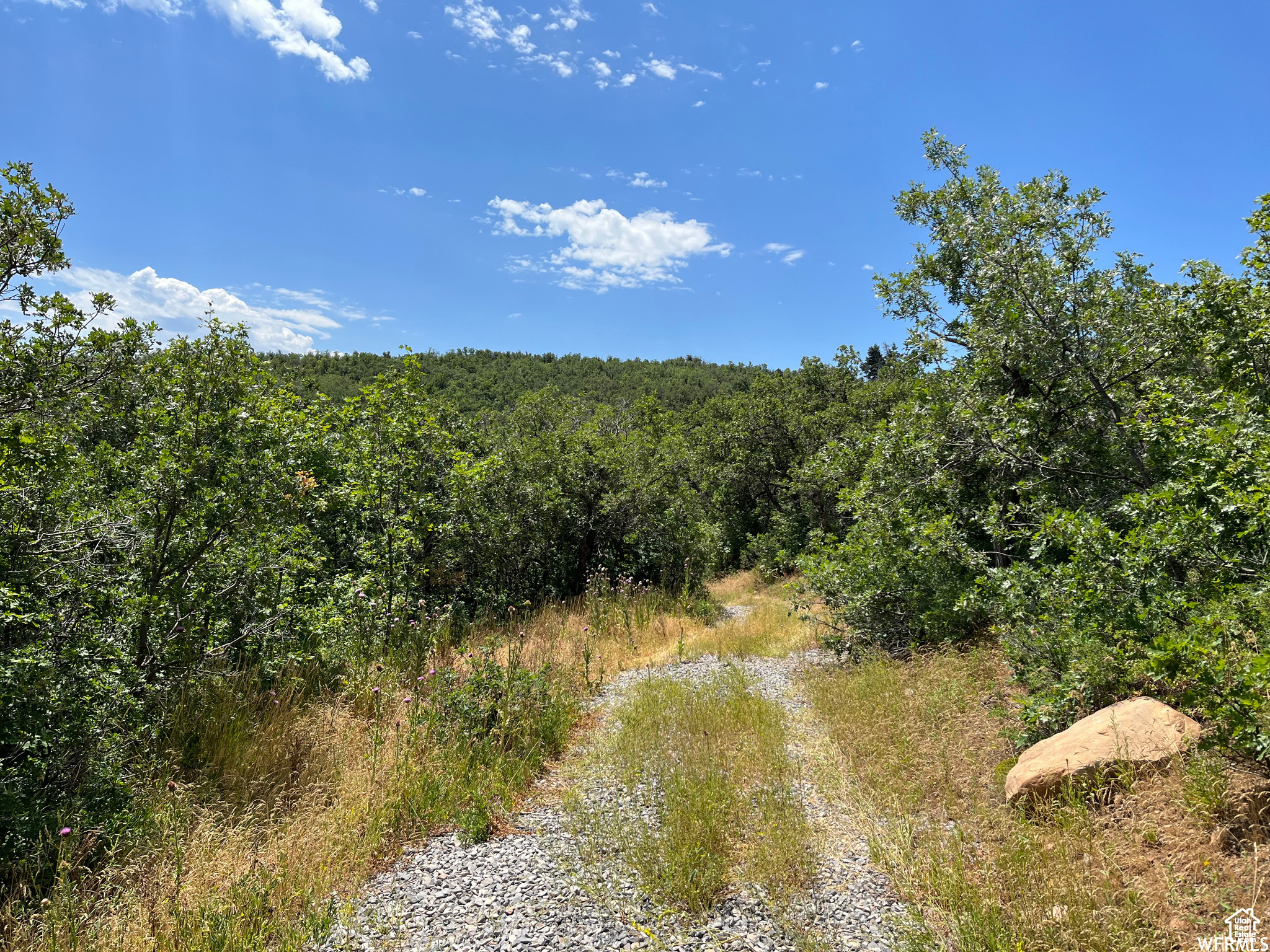 PLAT A UPPER WHITTER - Land