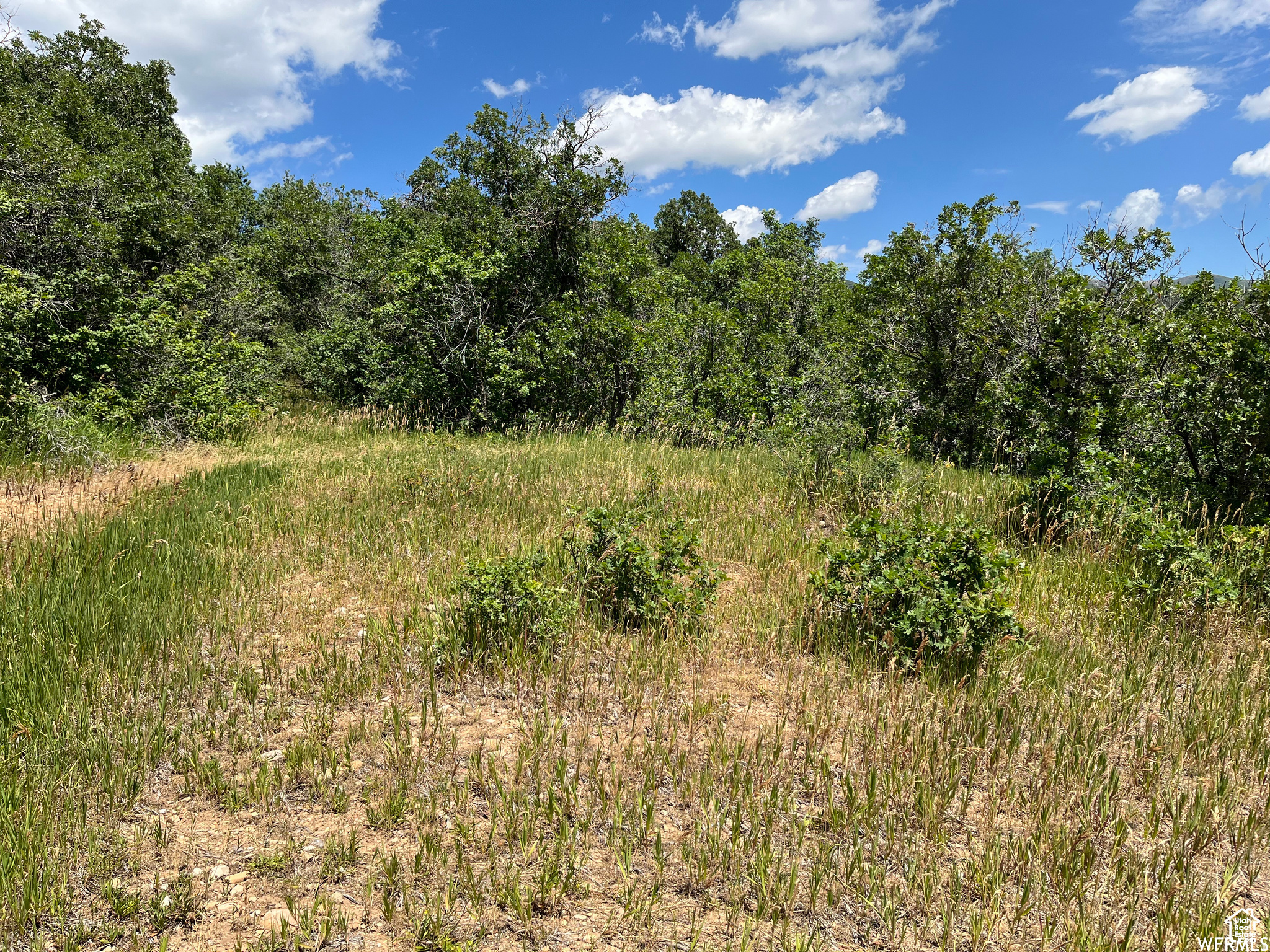 PLAT A UPPER WHITTER - Land