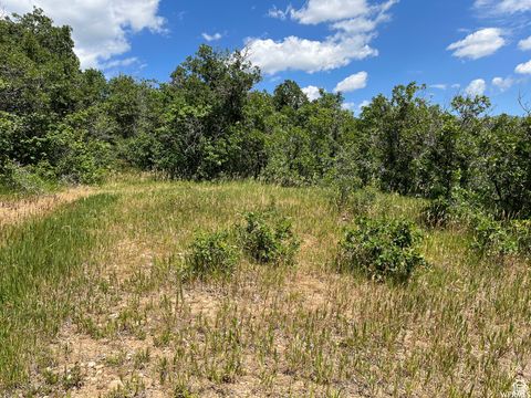 Tiny photo for #41, Springville, UT 84663 (MLS # 2154540)