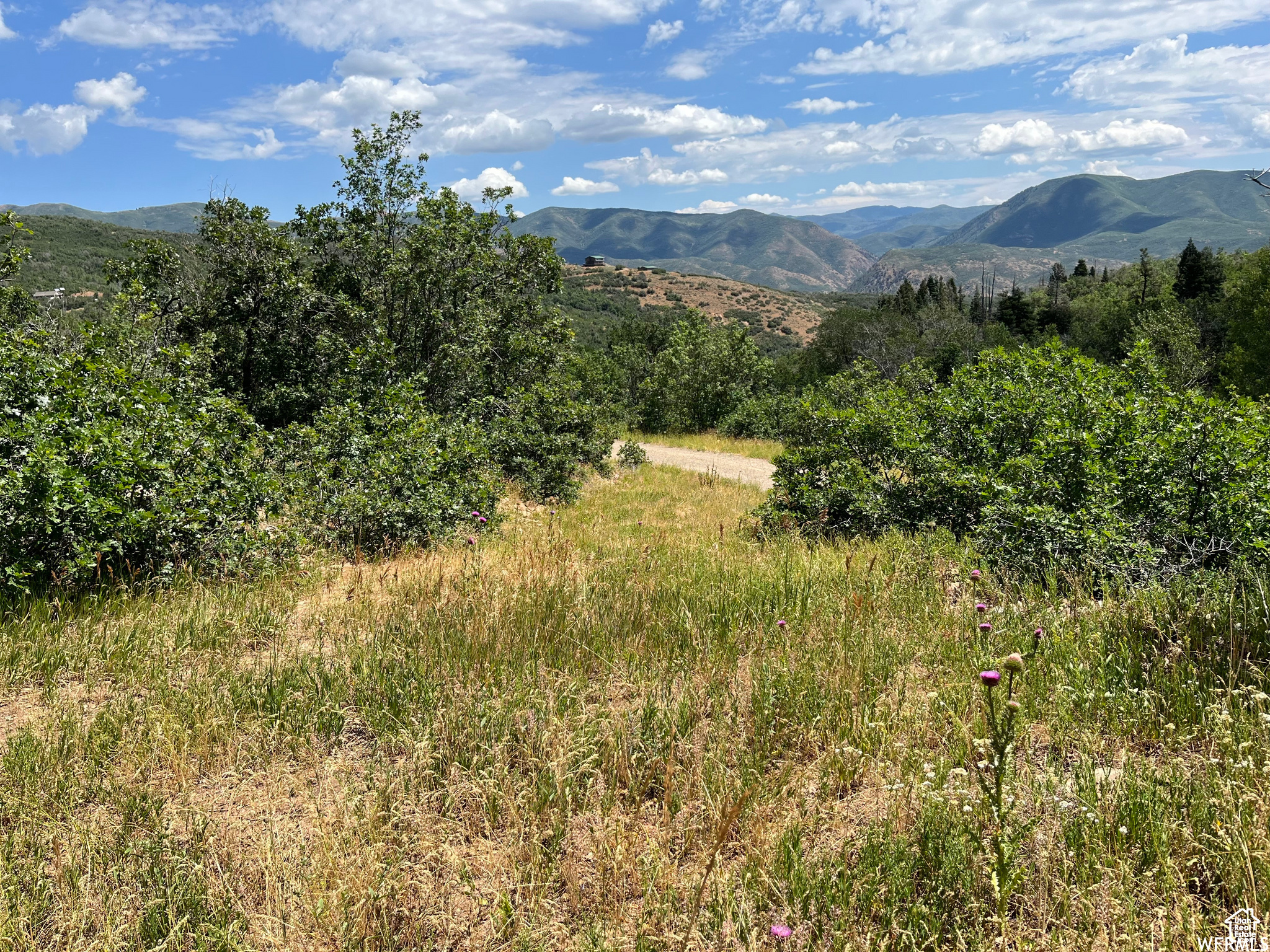 PLAT A UPPER WHITTER - Land