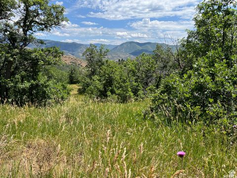Tiny photo for #41, Springville, UT 84663 (MLS # 2154540)