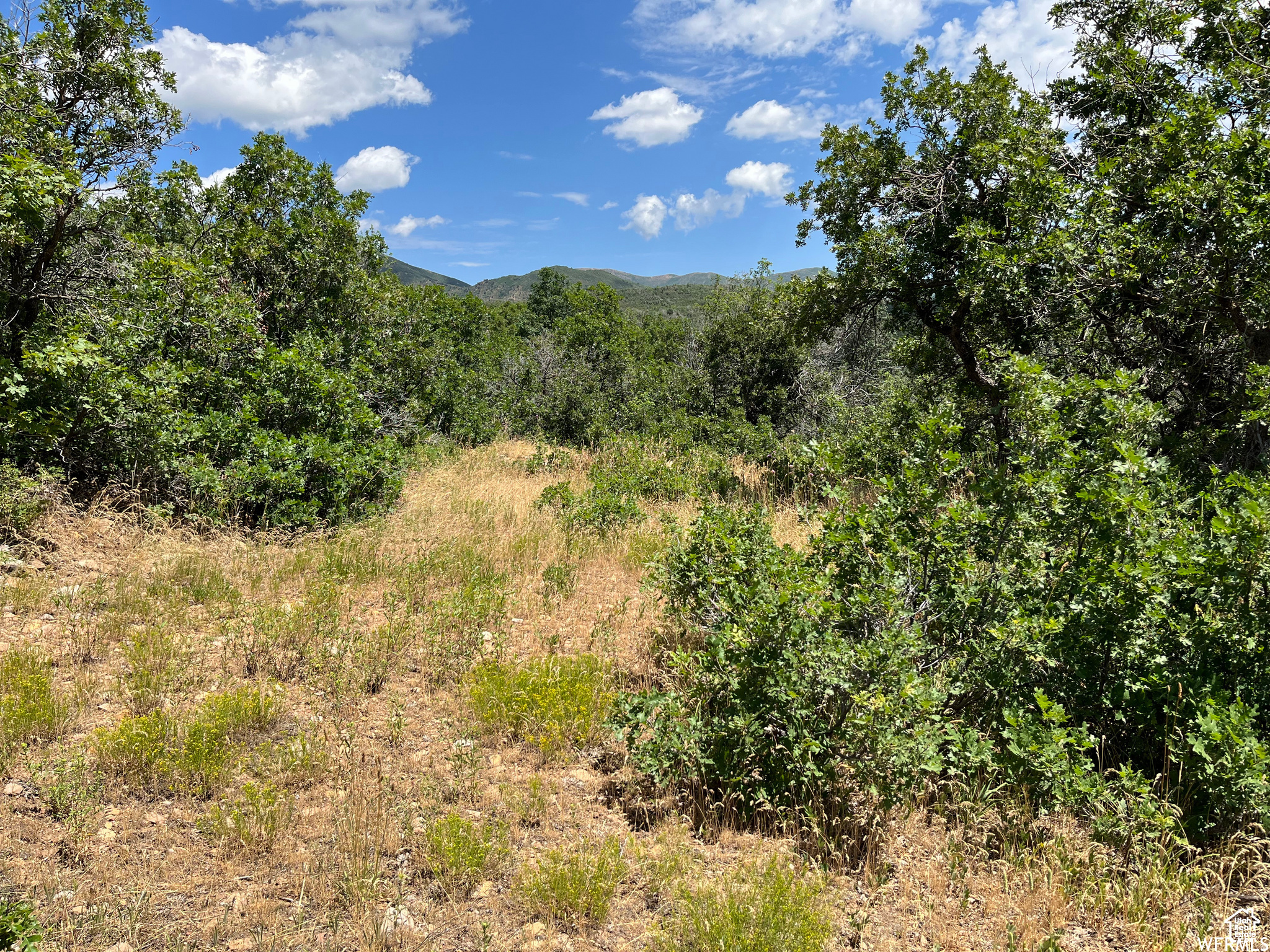 PLAT A UPPER WHITTER - Land