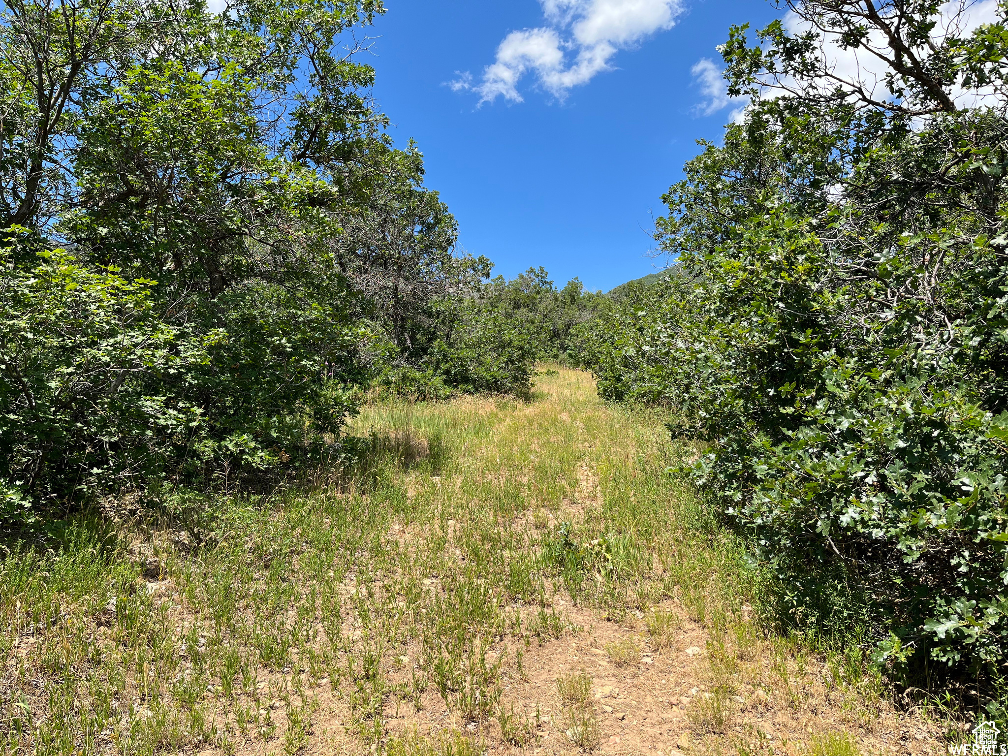 PLAT A UPPER WHITTER - Land