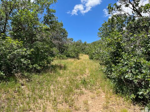 Tiny photo for #41, Springville, UT 84663 (MLS # 2154540)