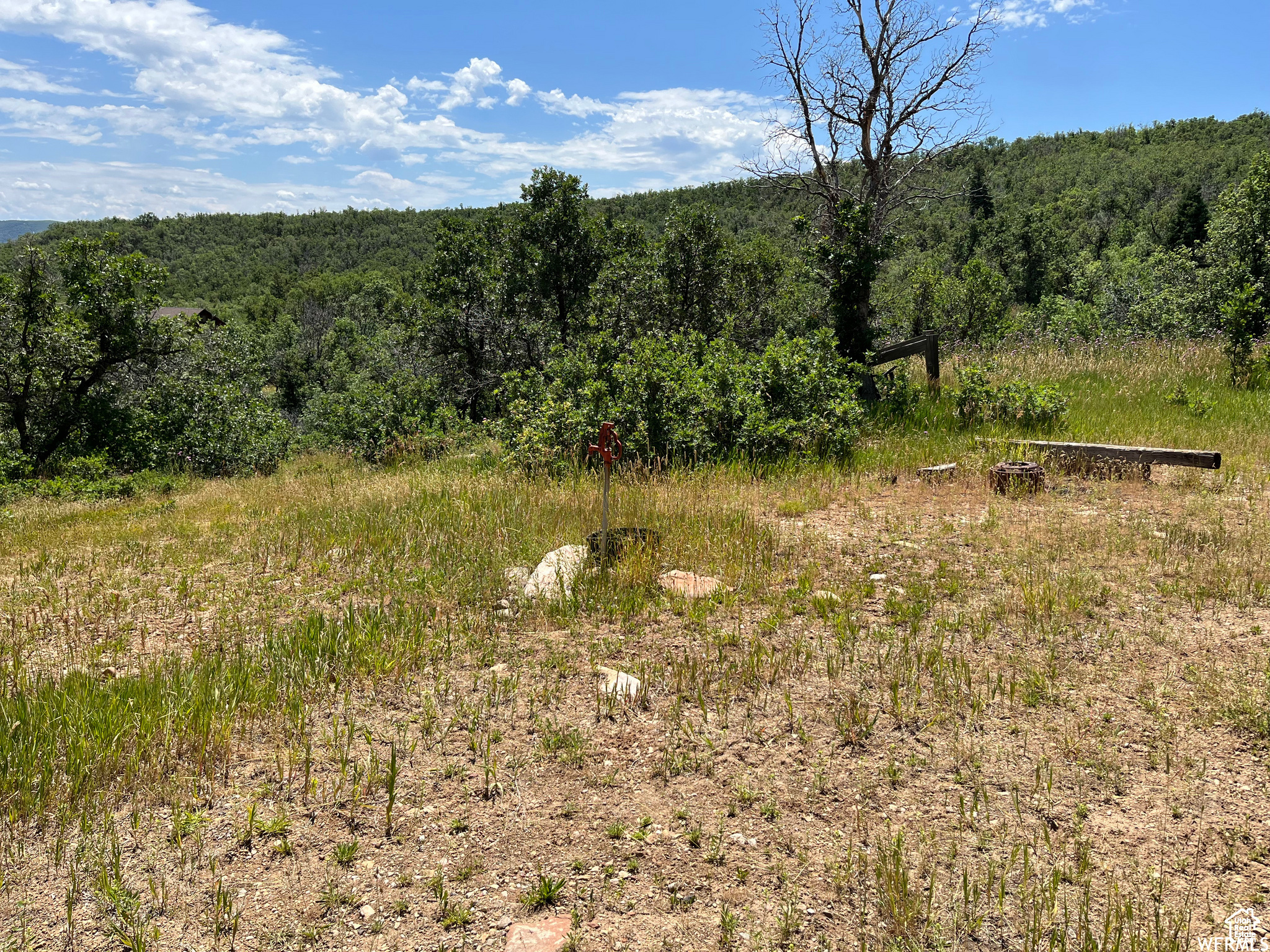 PLAT A UPPER WHITTER - Land