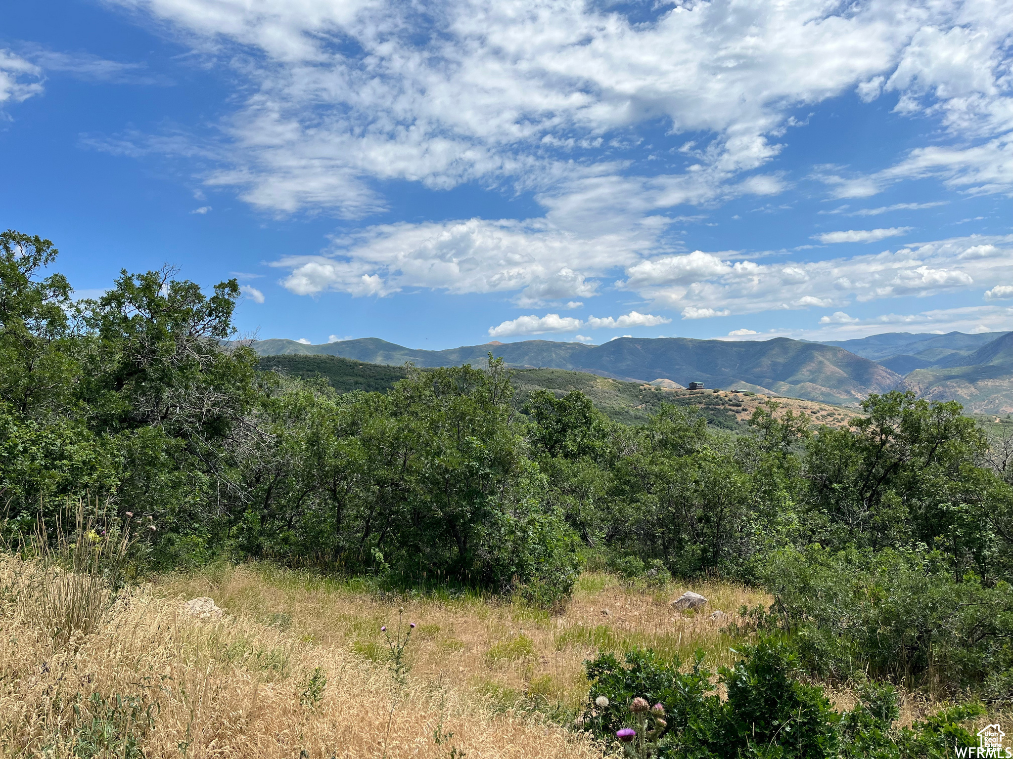 PLAT A UPPER WHITTER - Land