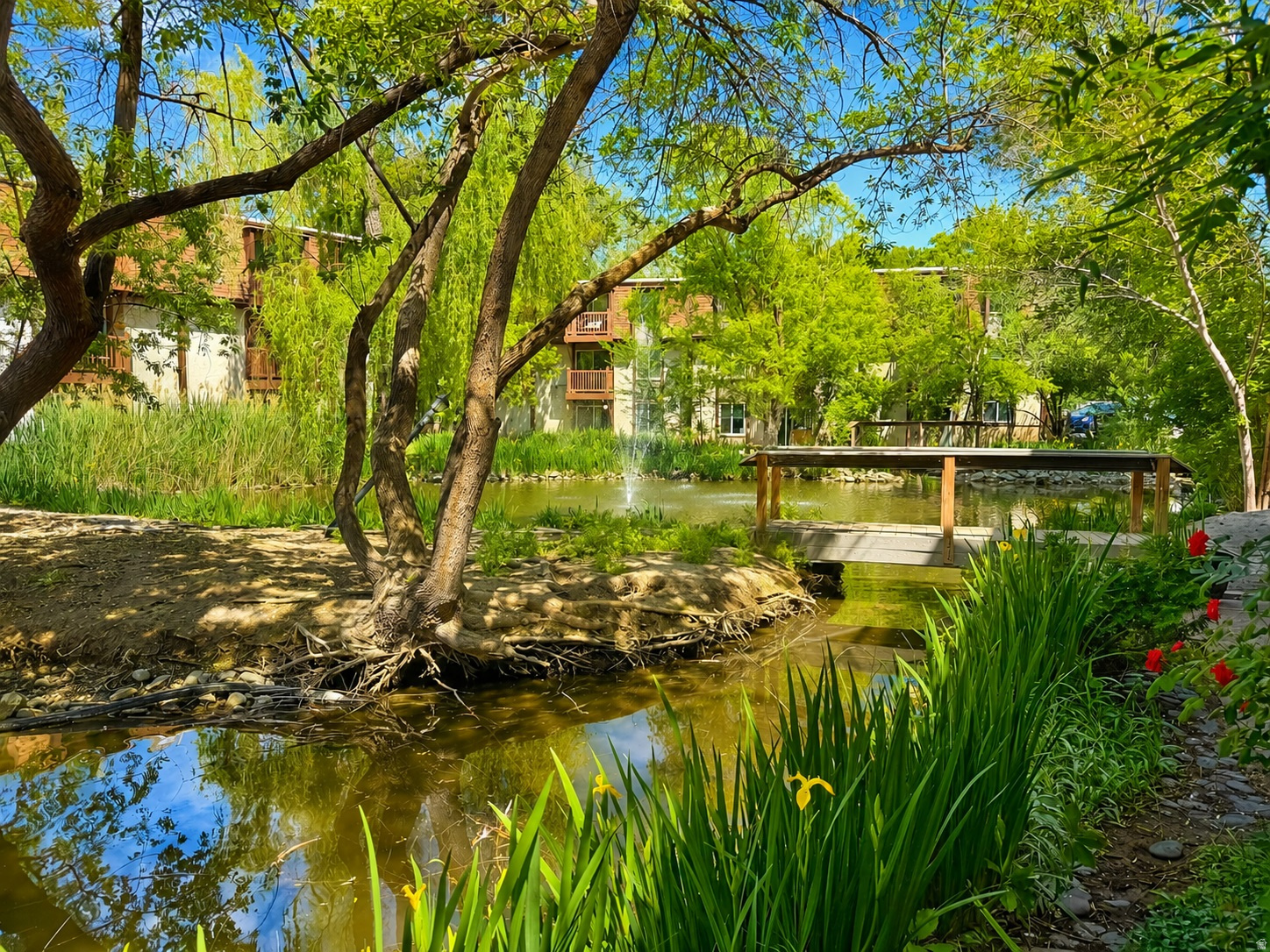 WILLOWS CONDM - Residential