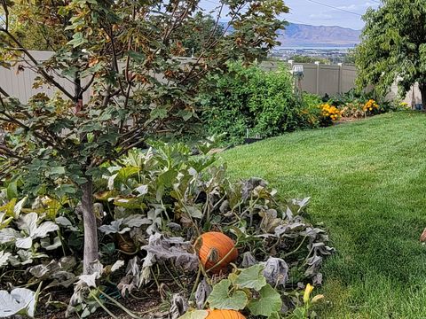 Tiny photo for 1118 N 580 St E, Pleasant Grove, UT 84062 (MLS # 2151131)