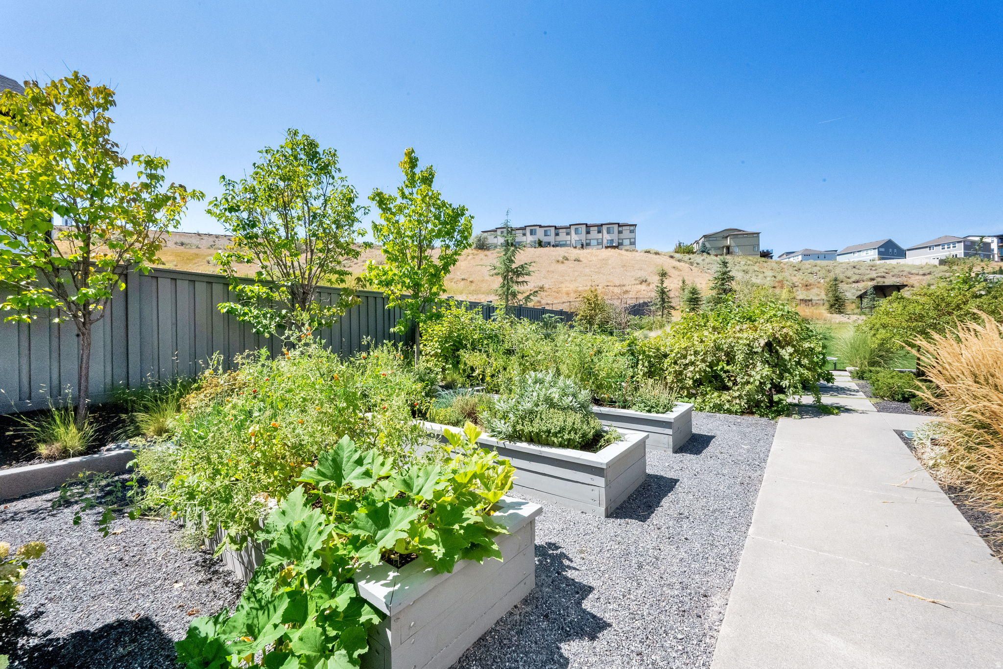 HIDDEN CANYON ESTATE - Residential