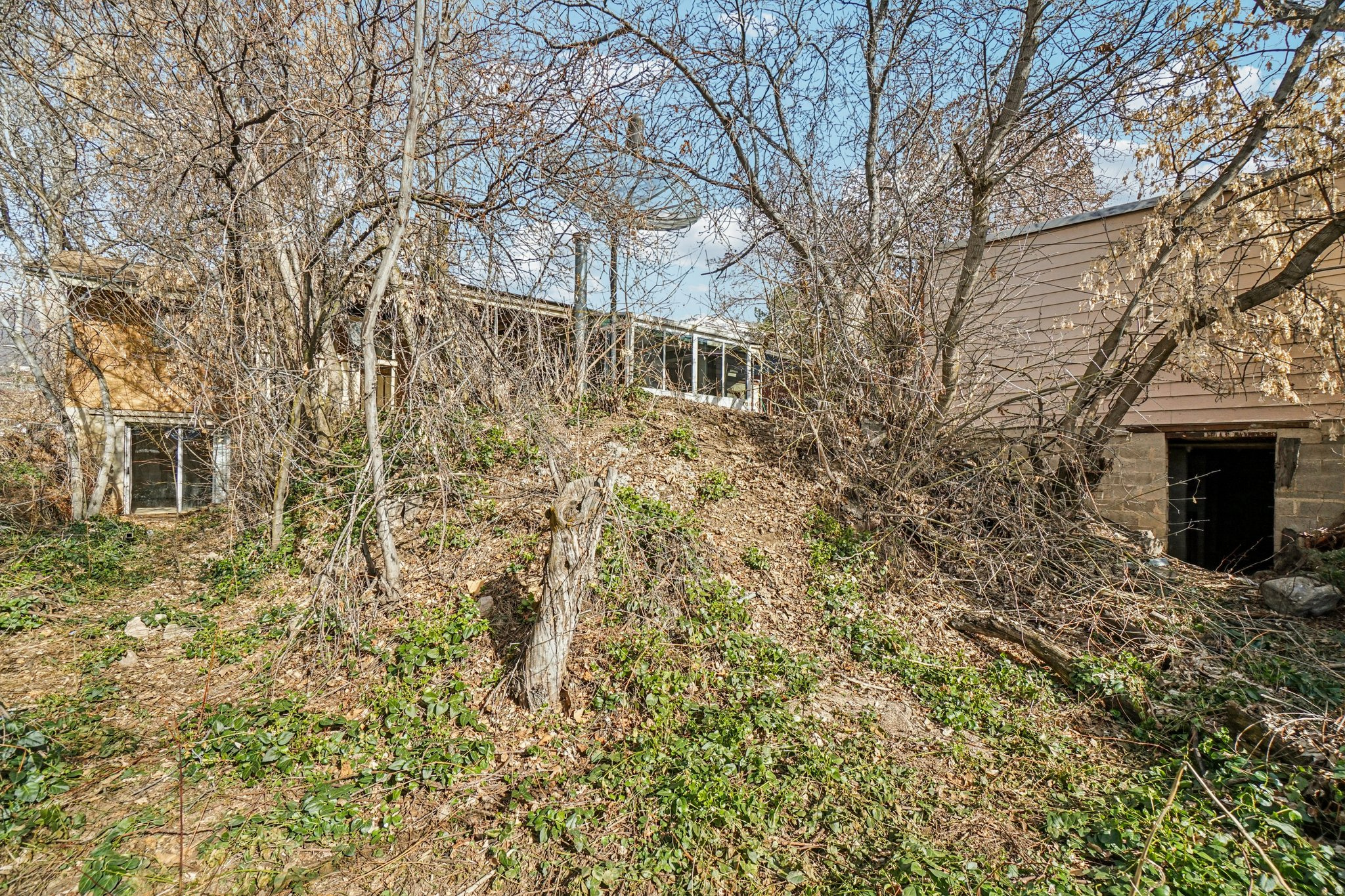 MT LOMOND ES- NO 1 - Residential