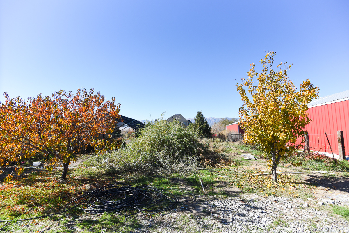 BANISTER MINOR SUBDIVISION - Residential