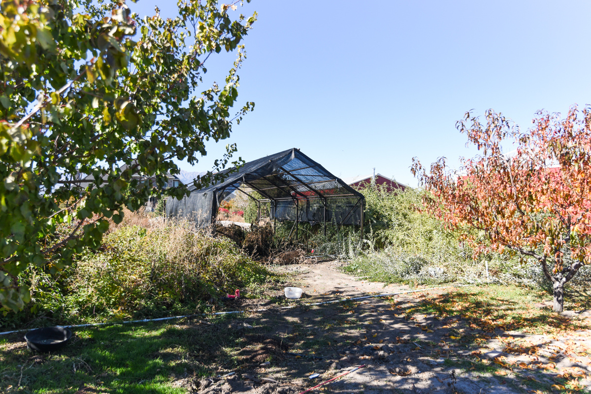 BANISTER MINOR SUBDIVISION - Residential