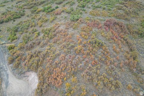 Tiny photo for 2381 WESTVIEW DR #1351, Heber City, UT 84032 (MLS # 2113087)