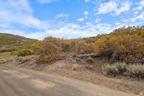 Photo of 2381 WESTVIEW DR #1351, Heber City, UT 84032 (MLS # 2113087)