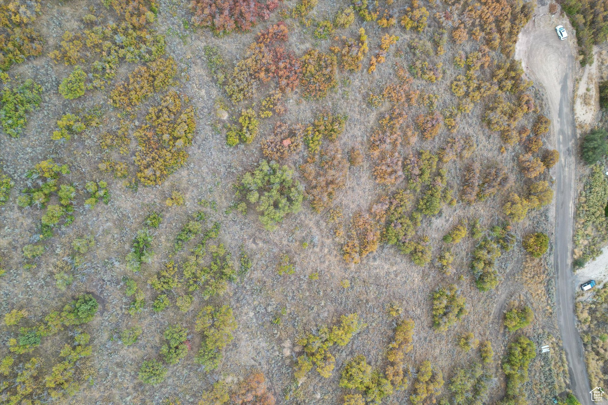 TIMBER LAKES - Land