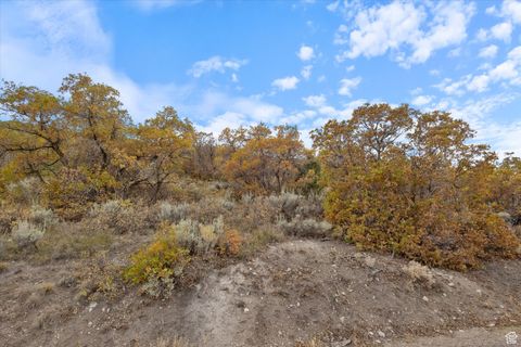 Tiny photo for 2381 WESTVIEW DR #1351, Heber City, UT 84032 (MLS # 2113087)