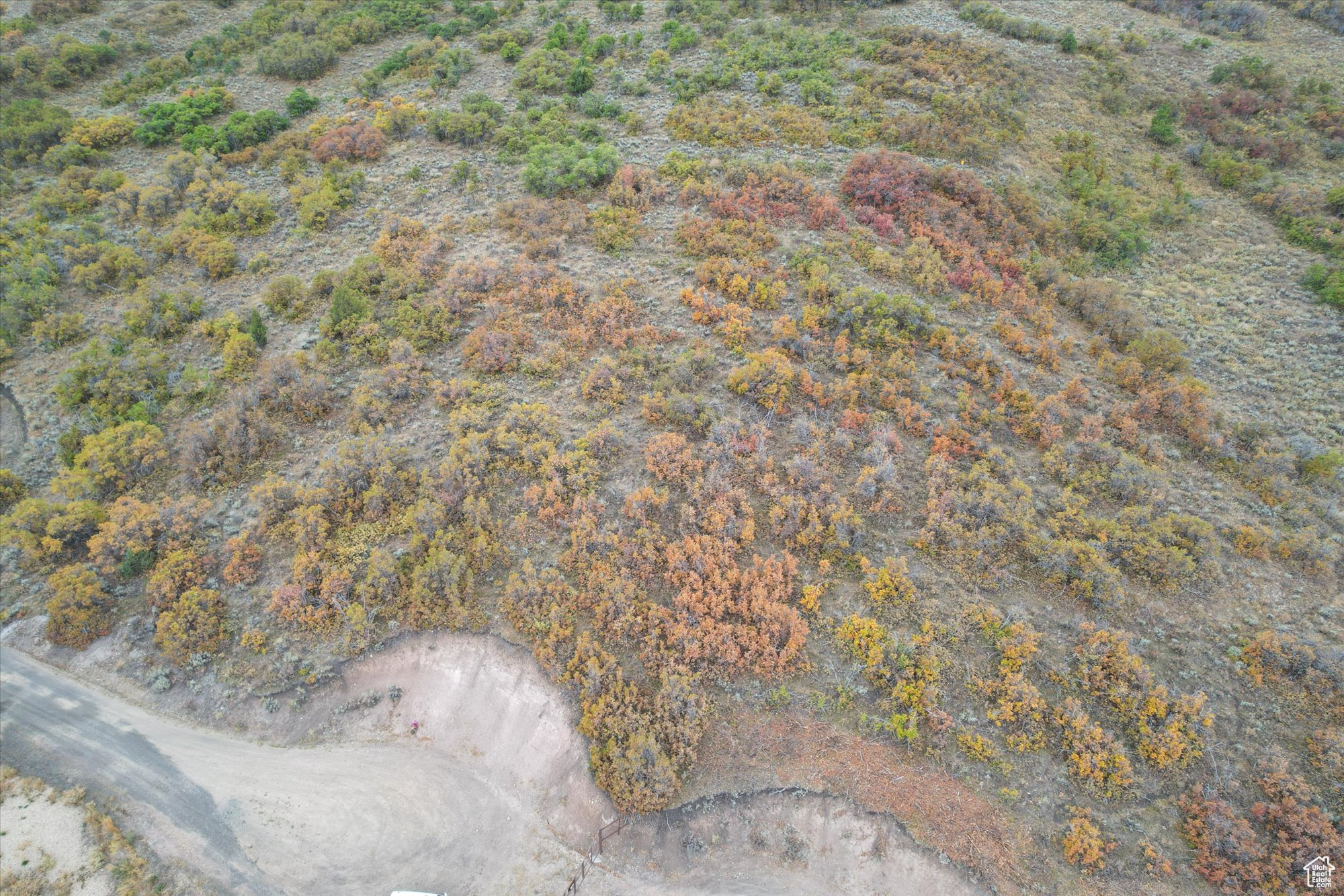 TIMBER LAKES - Land
