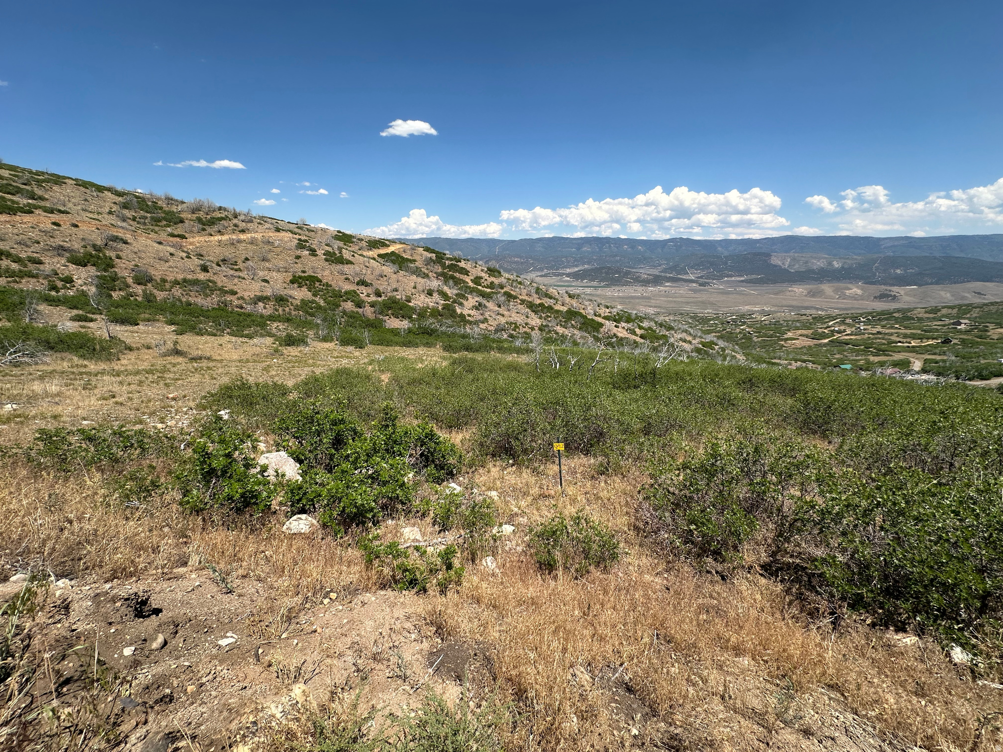 Expansive undeveloped land featuring natural shrubbery and a rolling hillside
