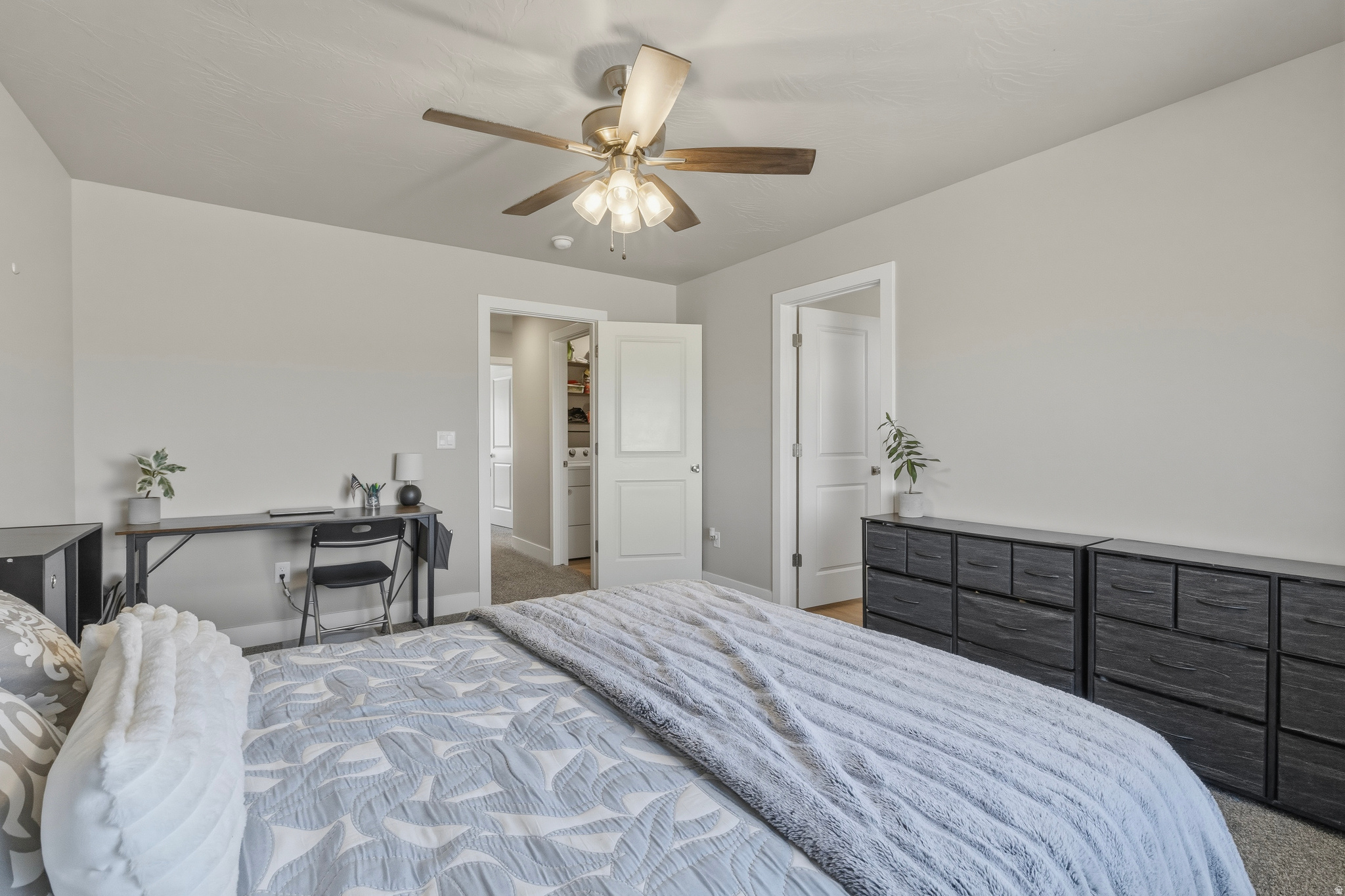 Carpeted room featuring light gray walls, a ceiling fan with integrated lighting, and white trim