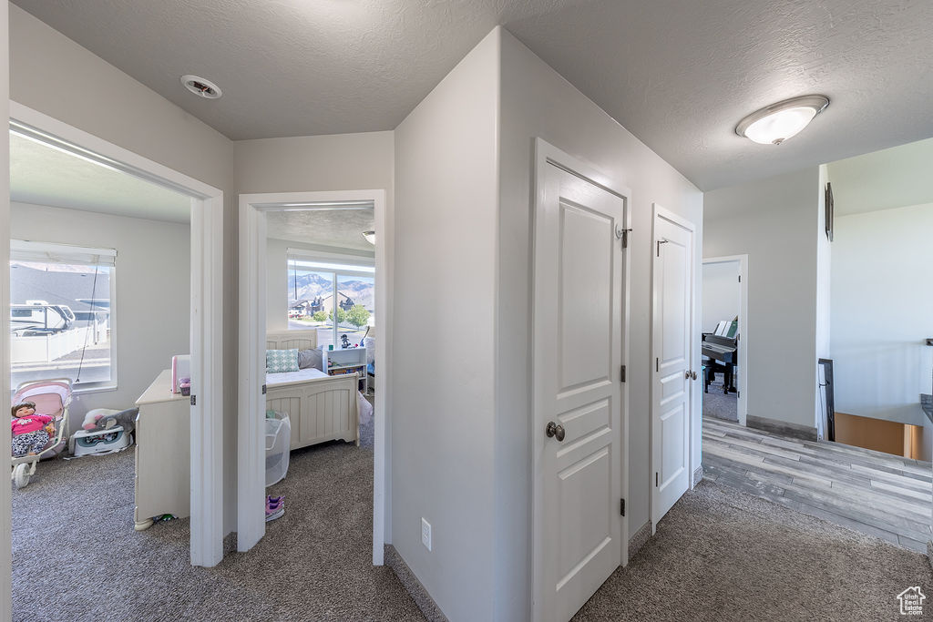 S-CURVE - Residential