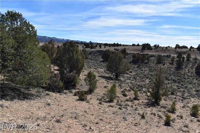 PAUNSAUGUNT CLIFFS - Land