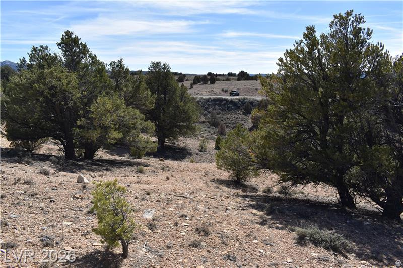 PAUNSAUGUNT CLIFFS - Land