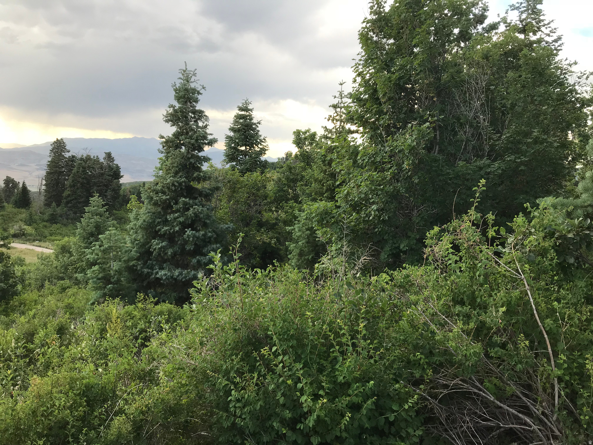 SKYLINE MOUNTAIN RESORT - Land