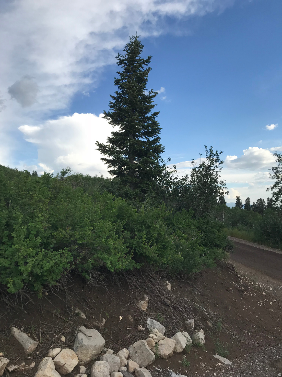 SKYLINE MOUNTAIN RESORT - Land