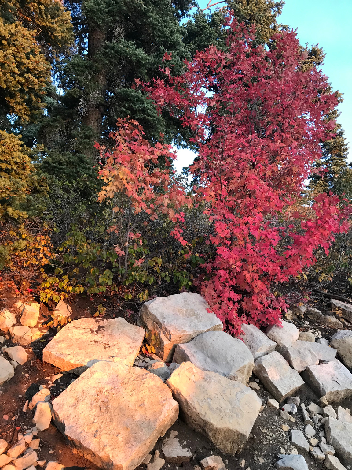 SKYLINE MOUNTAIN RESORT - Land