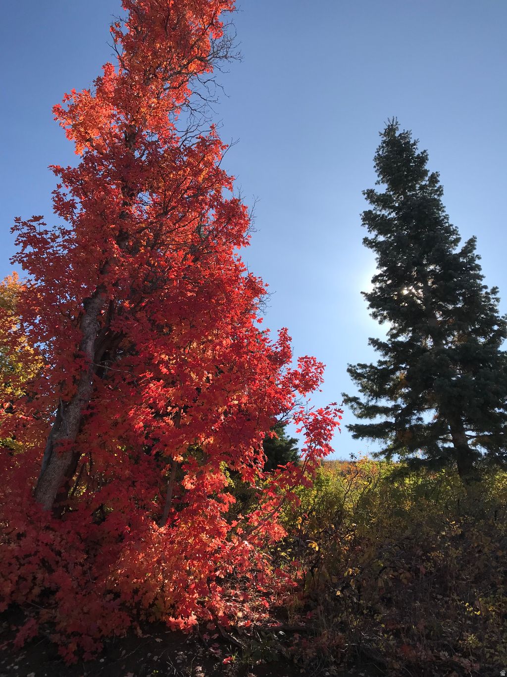 Photo of 23465 N THADS PEAK Cir E #J27, Fairview, UT 84629 (MLS # 2149666)