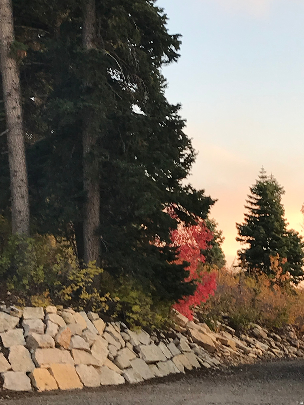 SKYLINE MOUNTAIN RESORT - Land