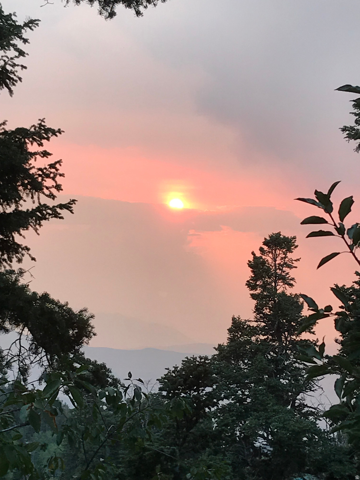 SKYLINE MOUNTAIN RESORT - Land