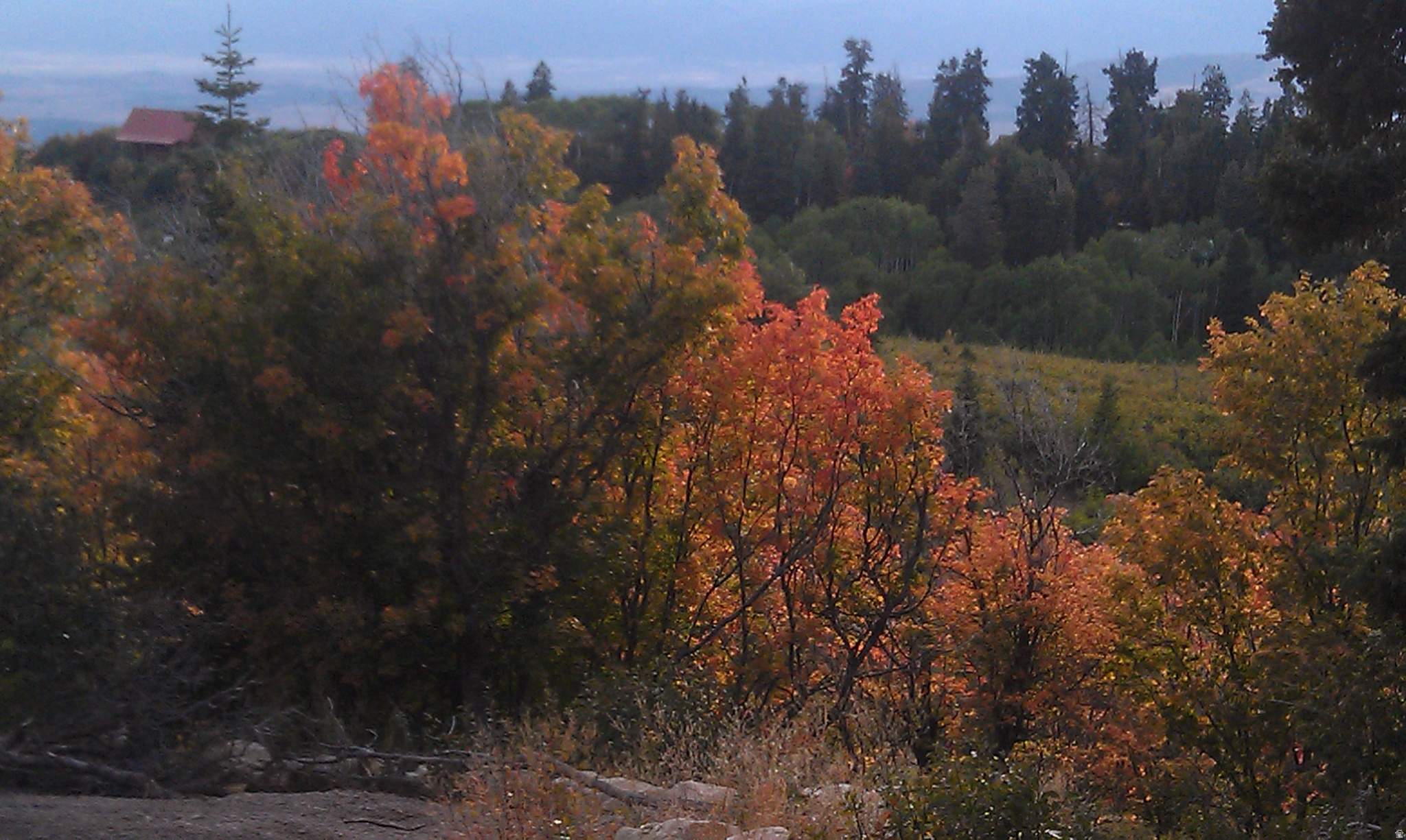 SKYLINE MOUNTAIN RESORT - Land