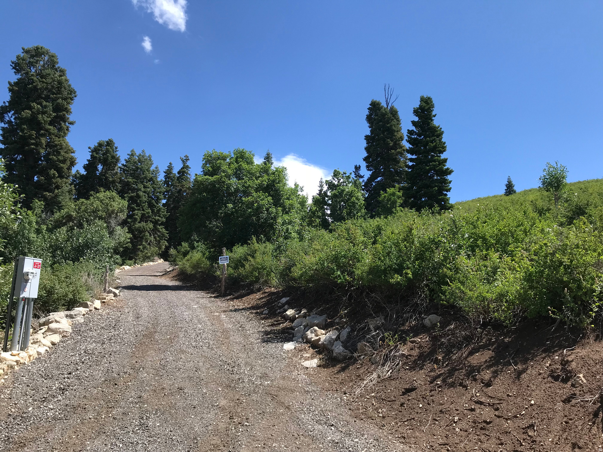 SKYLINE MOUNTAIN RESORT - Land