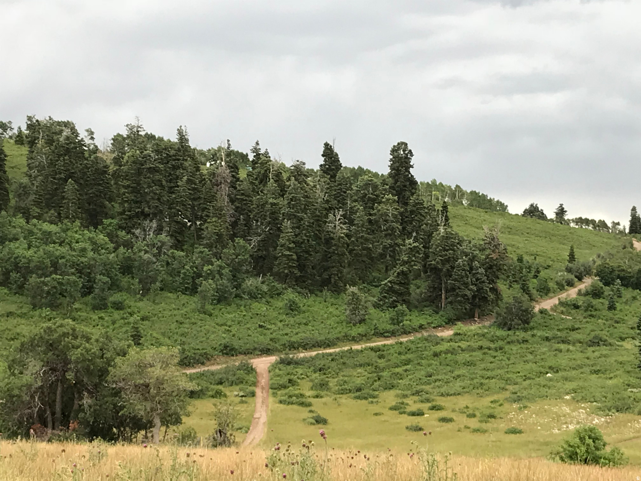 SKYLINE MOUNTAIN RESORT - Land