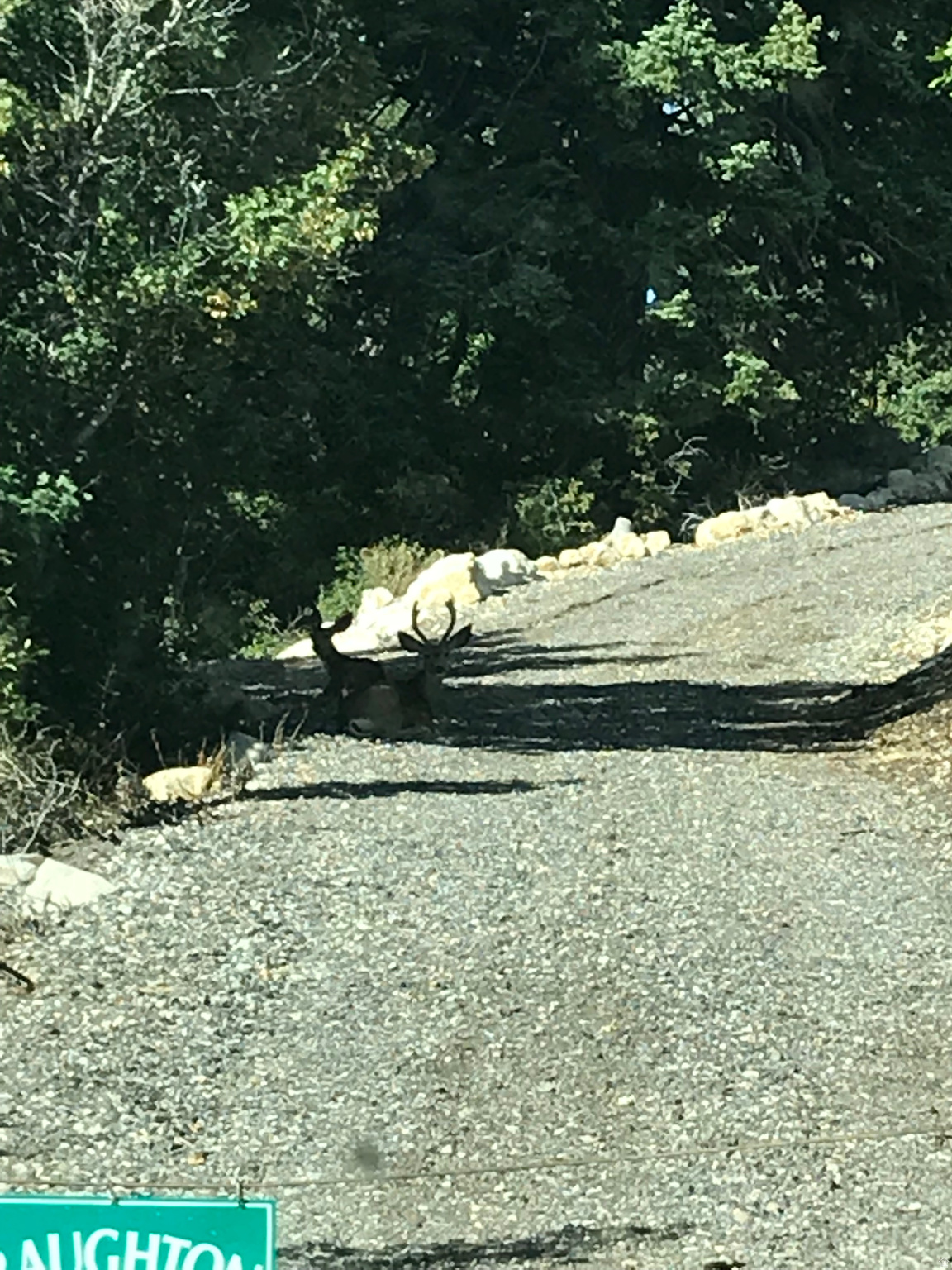 SKYLINE MOUNTAIN RESORT - Land