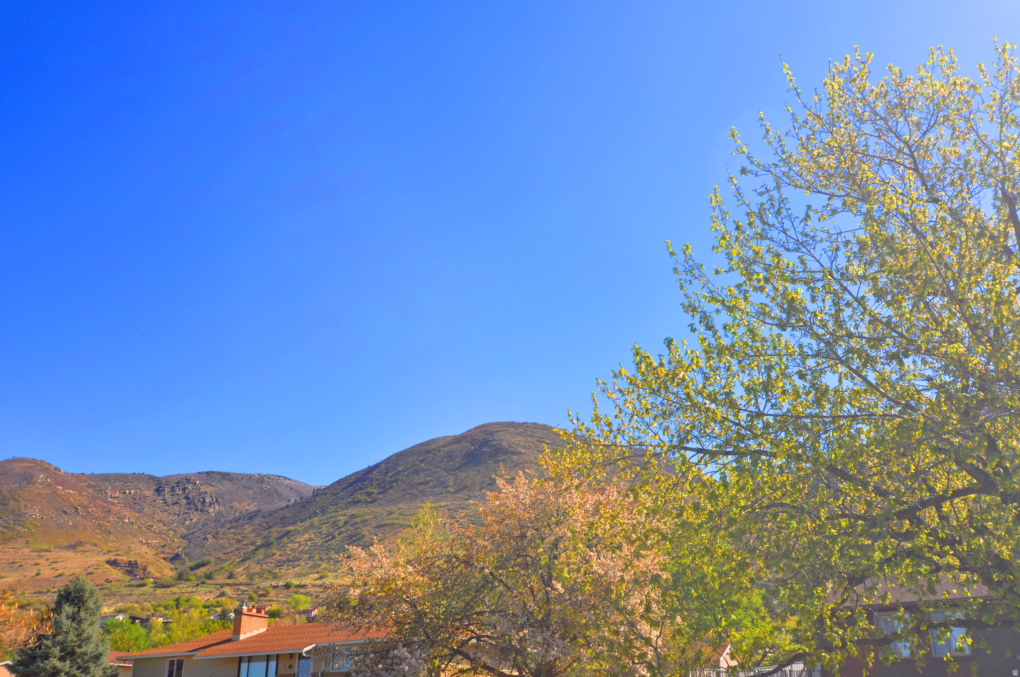 CHASE LANE ESTATES - Residential