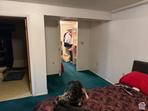 Tiny photo for 289 E 4475 S, Washington Terrace, UT 84405 (MLS # 2192798)