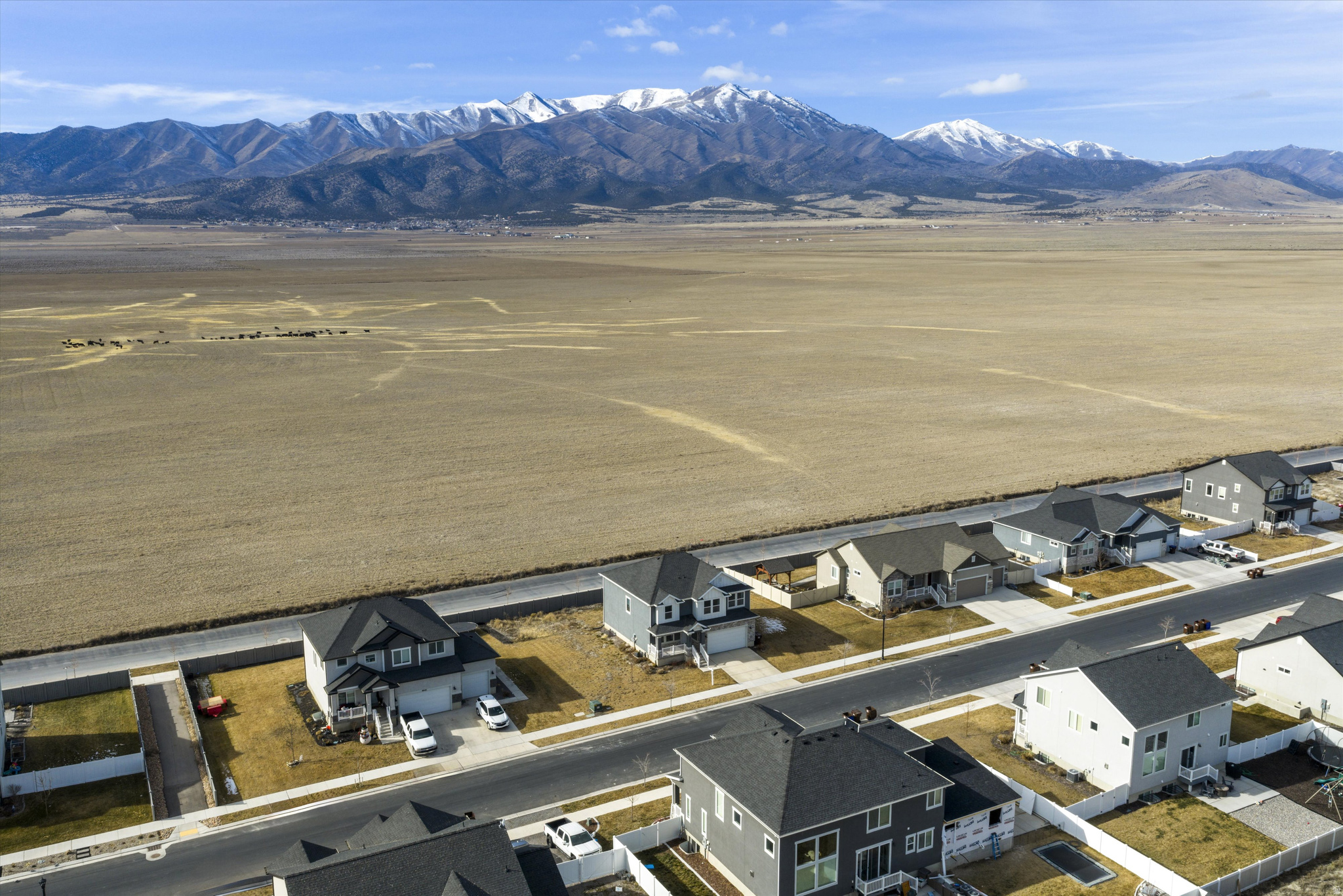 BRANDON PARK - Residential