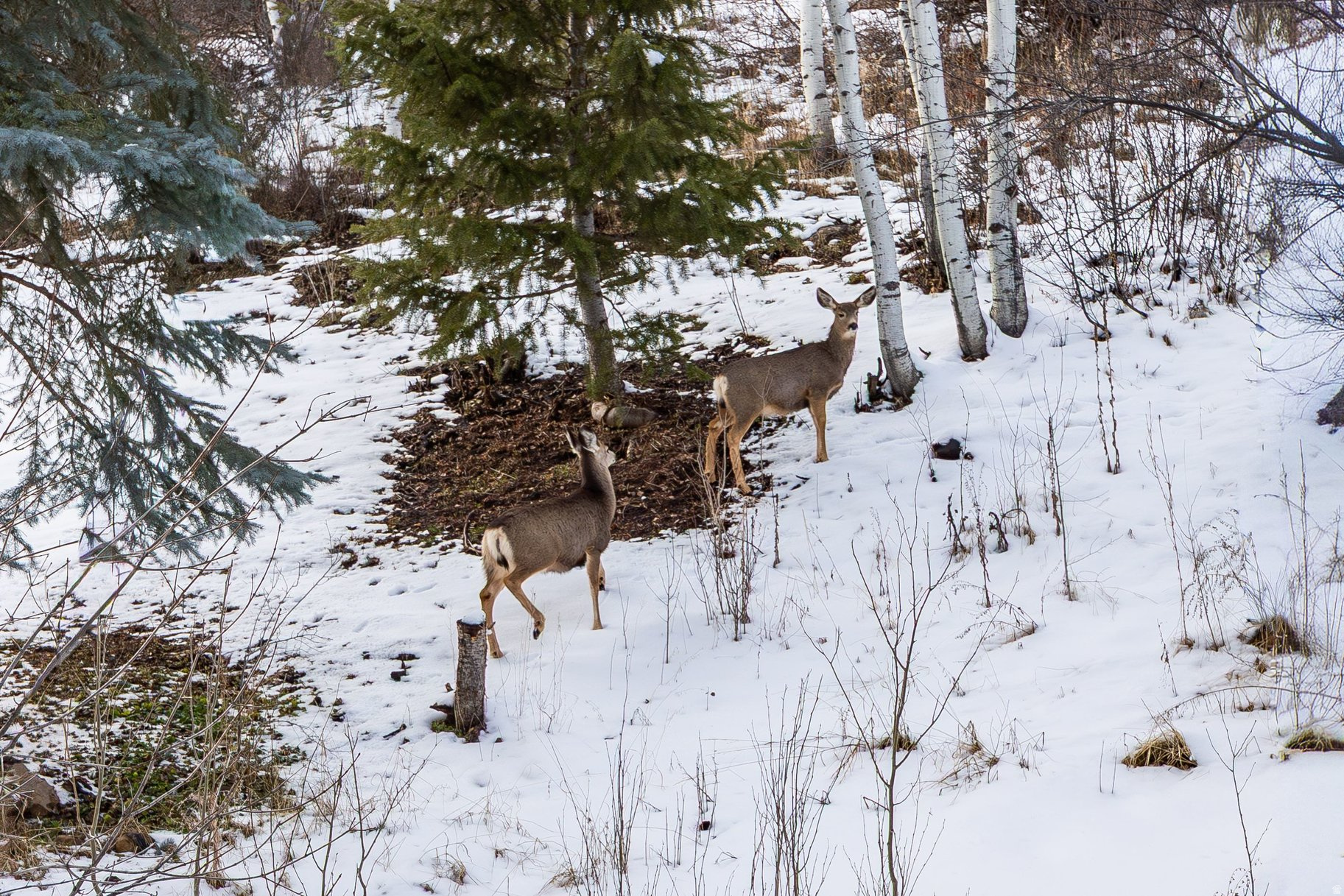 HIDDEN COVE - Residential