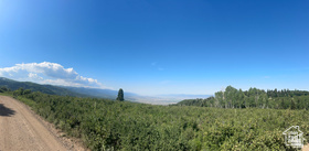 SKYLINE MOUNTAIN RESORT - Land