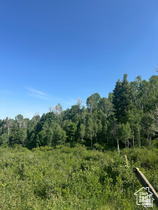 SKYLINE MOUNTAIN RESORT - Land