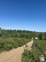 SKYLINE MOUNTAIN RESORT - Land