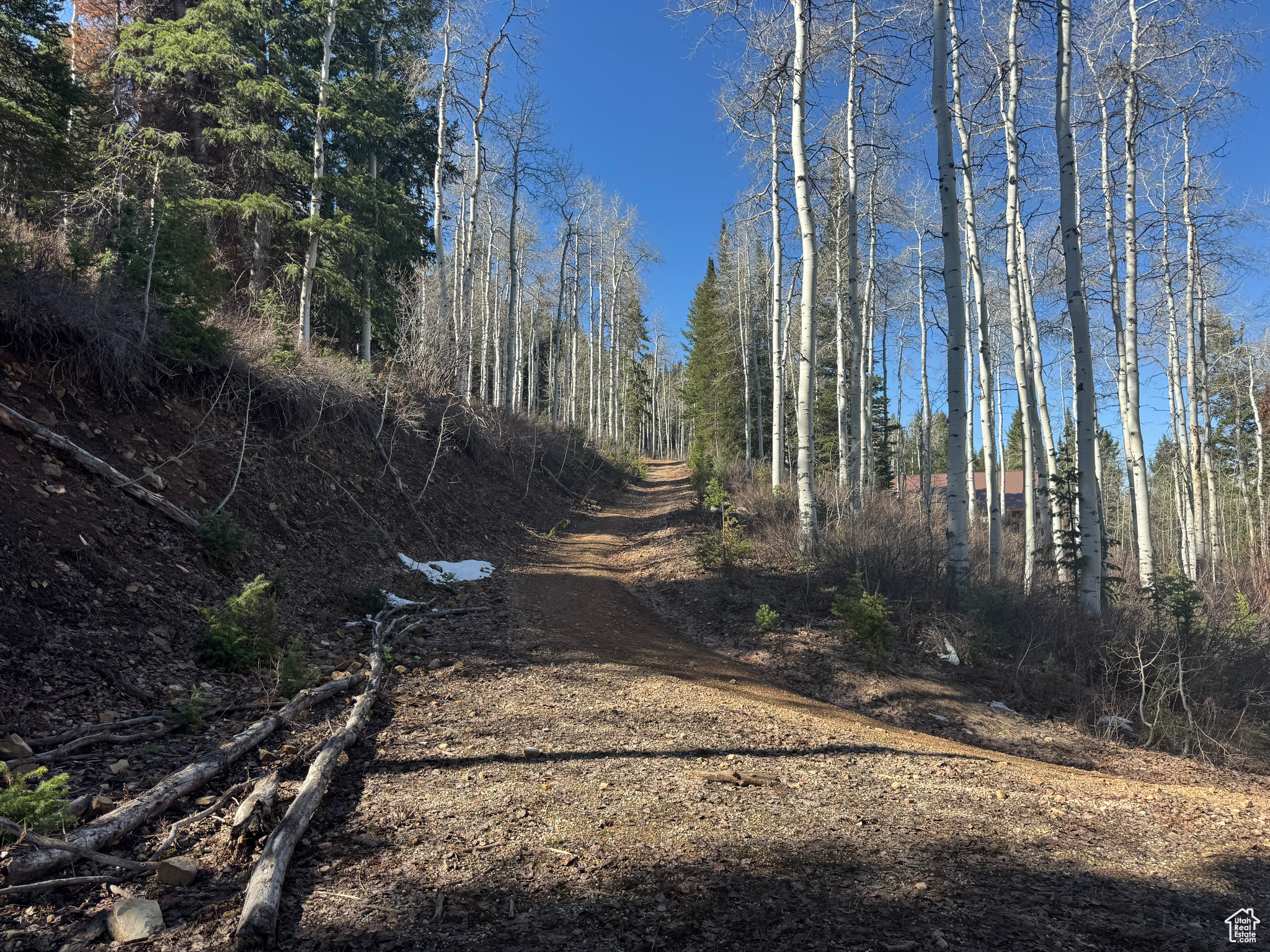 PINE MOUNTAIN - Land