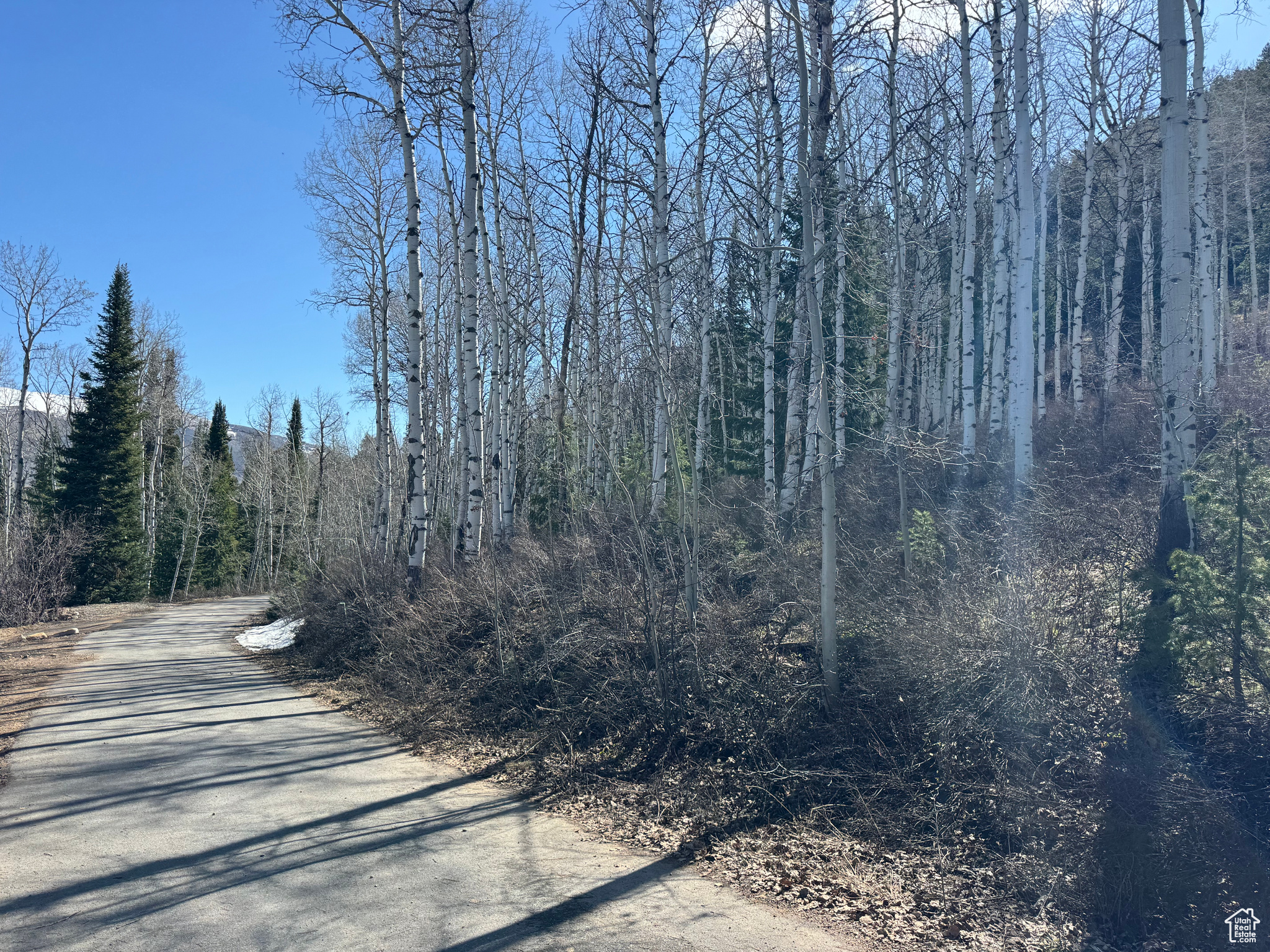 PINE MOUNTAIN - Land