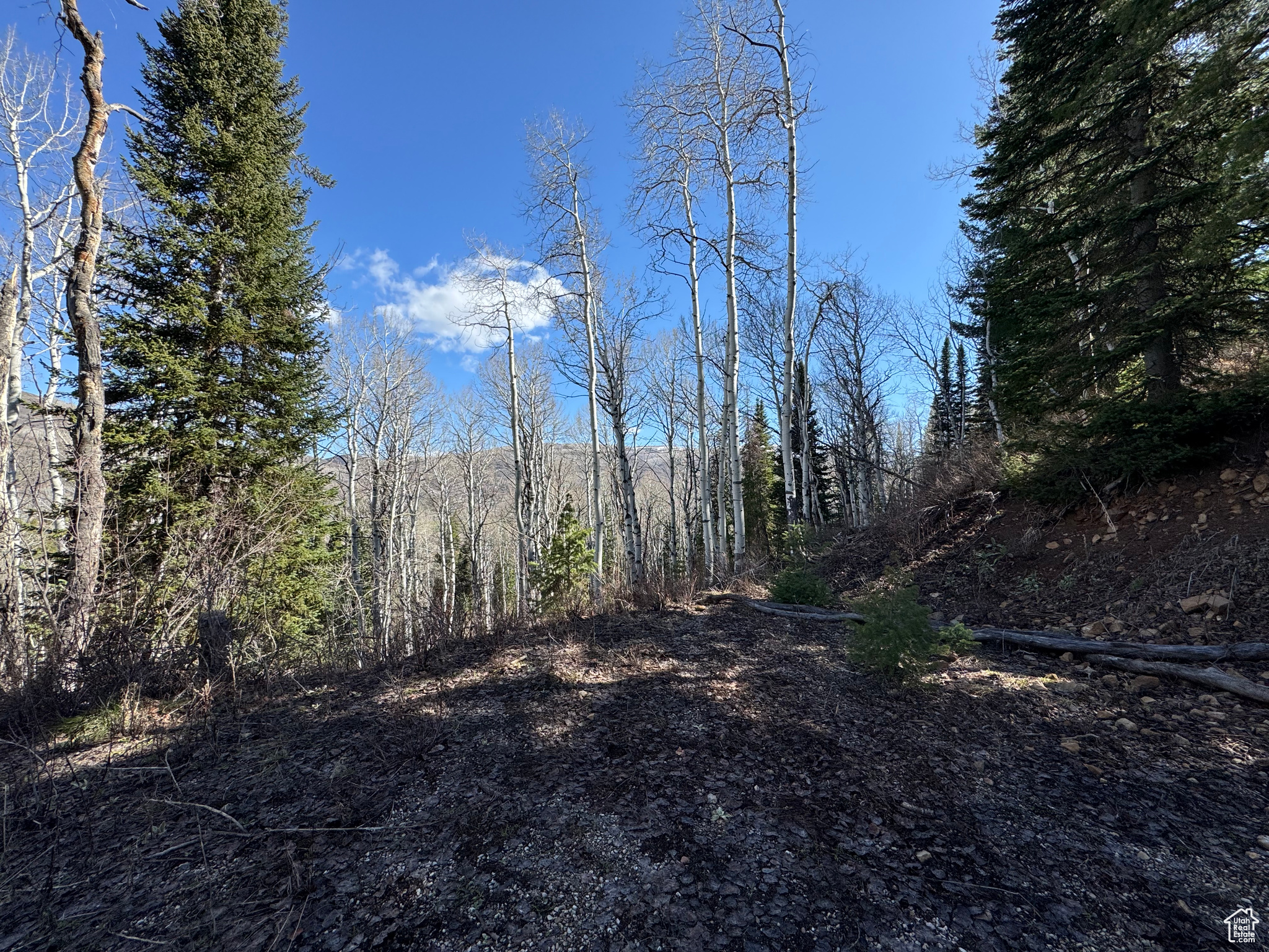 PINE MOUNTAIN - Land