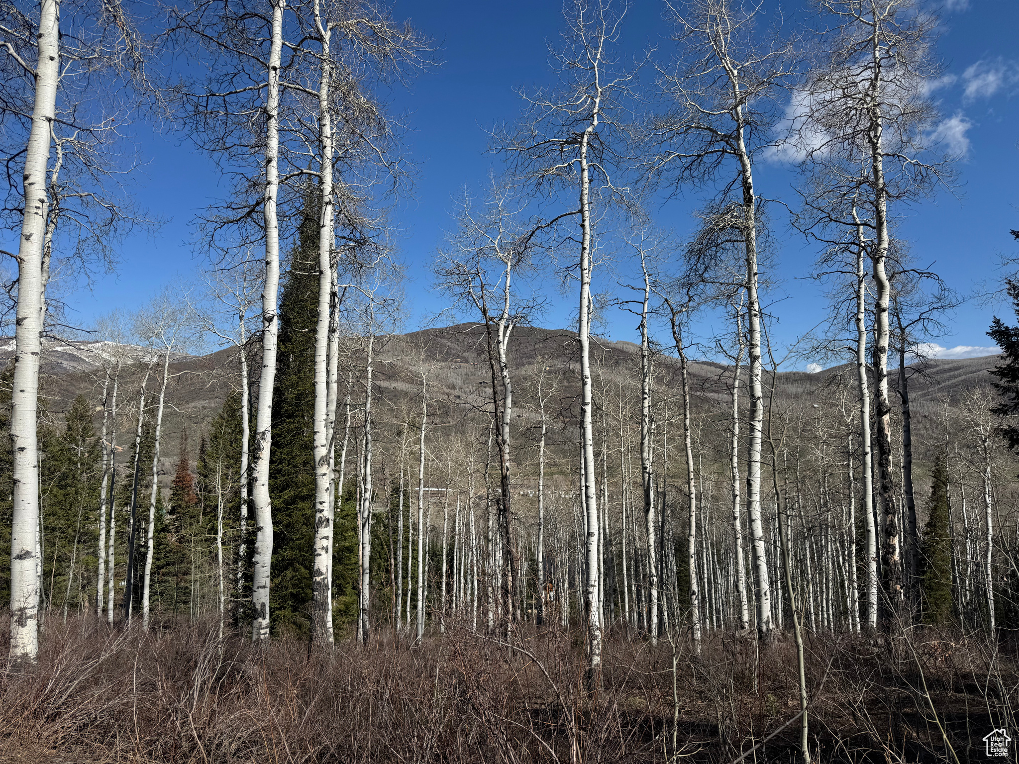 PINE MOUNTAIN - Land